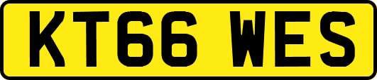 KT66WES