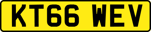 KT66WEV