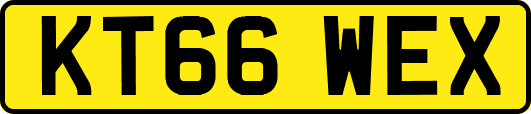 KT66WEX