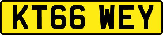 KT66WEY