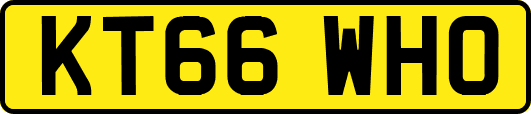 KT66WHO