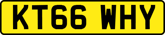 KT66WHY