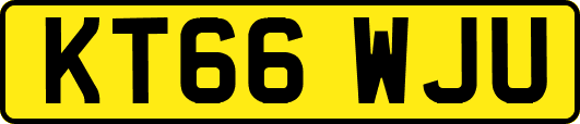 KT66WJU