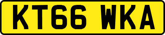 KT66WKA