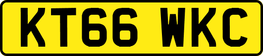 KT66WKC