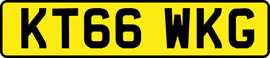 KT66WKG