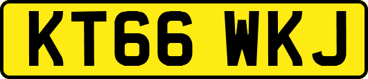KT66WKJ