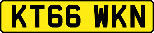 KT66WKN