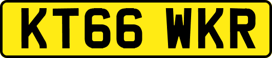 KT66WKR