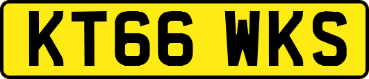 KT66WKS
