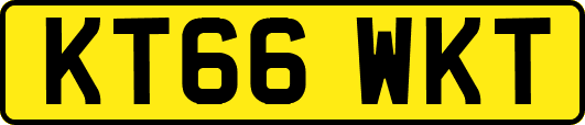 KT66WKT