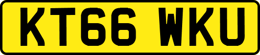 KT66WKU