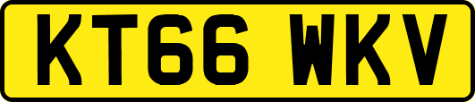 KT66WKV