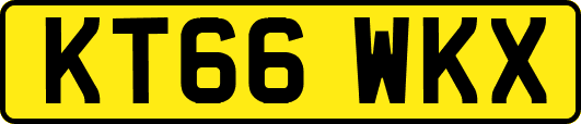 KT66WKX