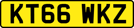 KT66WKZ