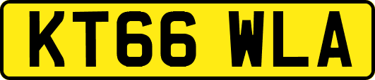 KT66WLA