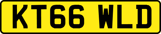 KT66WLD