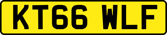KT66WLF