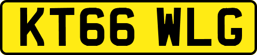 KT66WLG