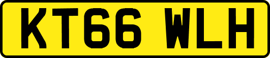 KT66WLH
