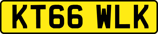 KT66WLK