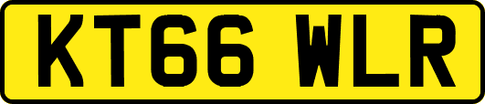 KT66WLR