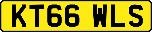 KT66WLS
