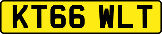 KT66WLT