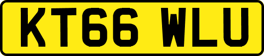 KT66WLU