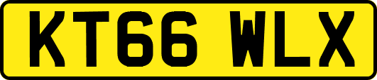 KT66WLX