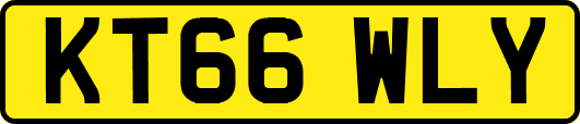 KT66WLY