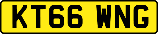 KT66WNG