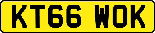 KT66WOK