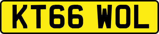 KT66WOL