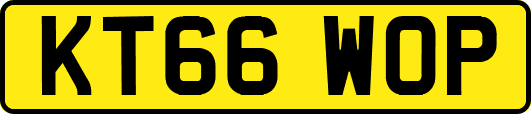 KT66WOP