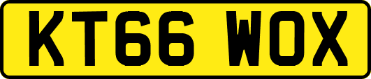 KT66WOX
