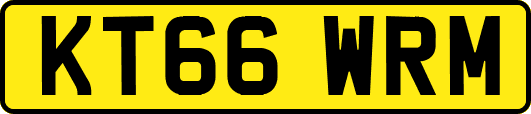 KT66WRM