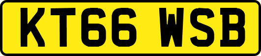 KT66WSB