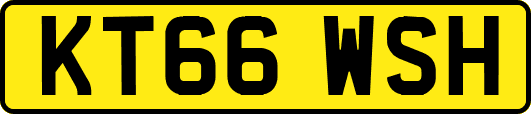 KT66WSH