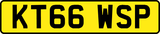 KT66WSP