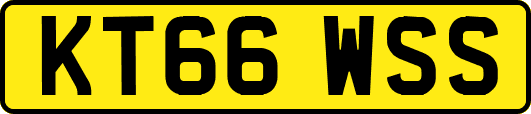 KT66WSS