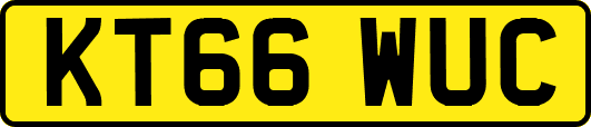 KT66WUC