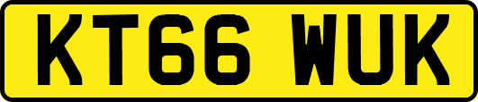 KT66WUK