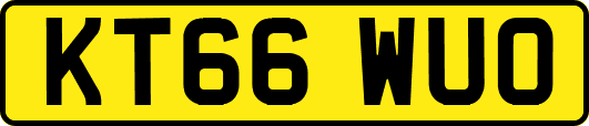 KT66WUO