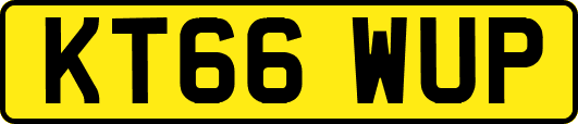 KT66WUP