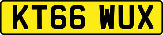 KT66WUX