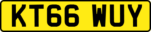KT66WUY