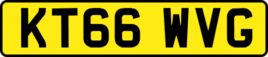 KT66WVG