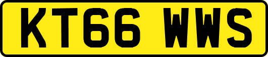KT66WWS