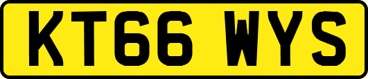 KT66WYS
